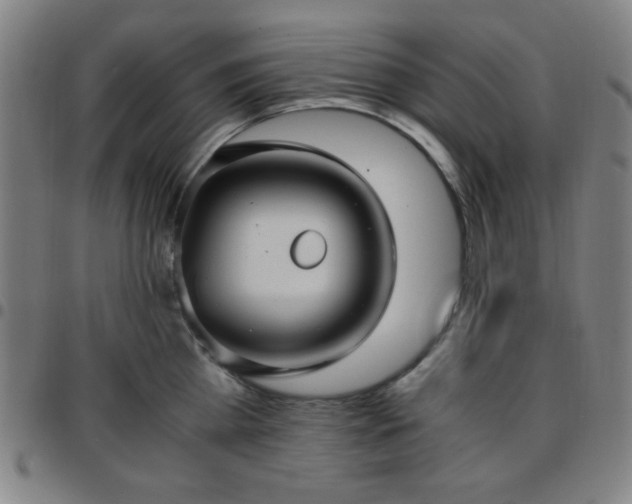 X0000097660809200803071531