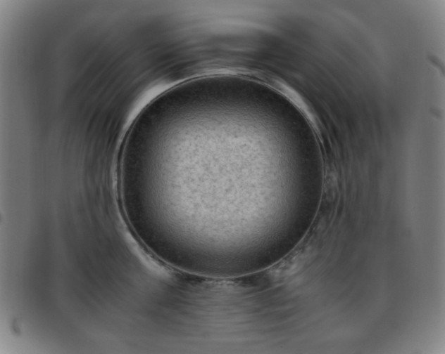 X0000097660811200803071530