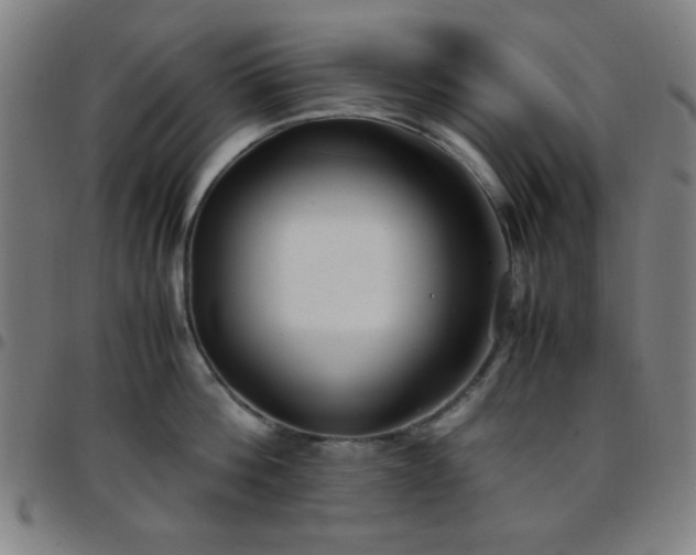 X0000097660812200803071530