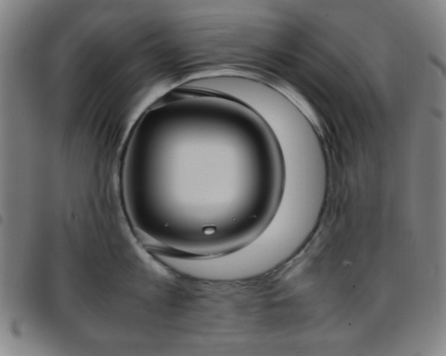 X0000097660813200803071530