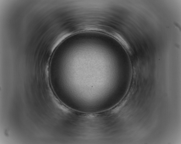 X0000097660814200803071530