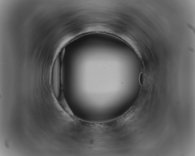X0000097660815200803071530