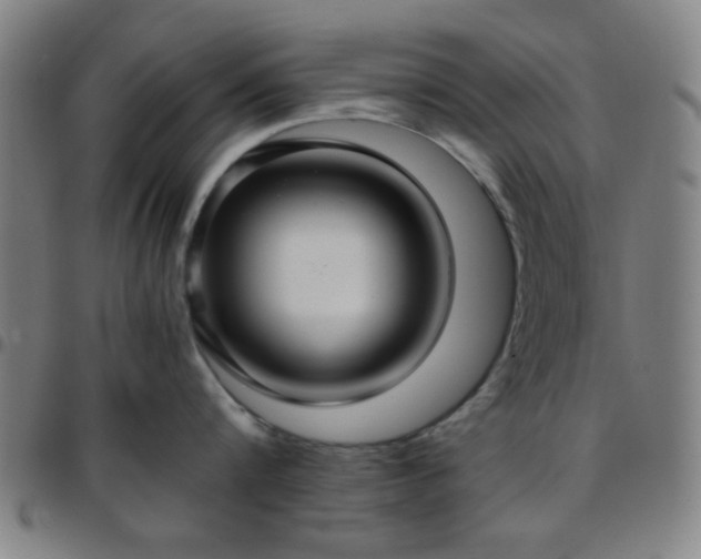 X0000097660816200803071530