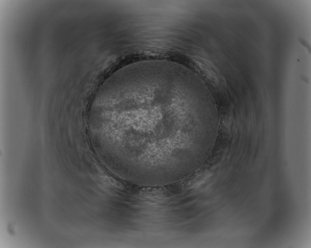 X0000097660817200803071530