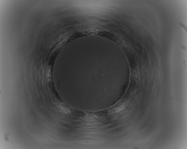 X0000097660818200803071530