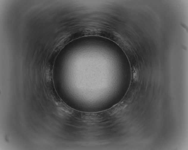 X0000097660819200803071530