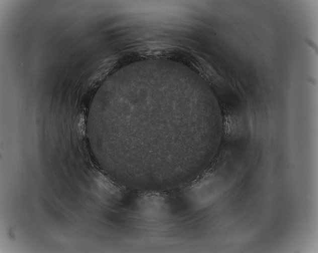 X0000097660820200803071530
