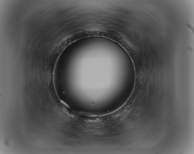 X0000097660821200803071530