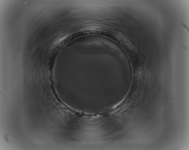 X0000097660822200803071530