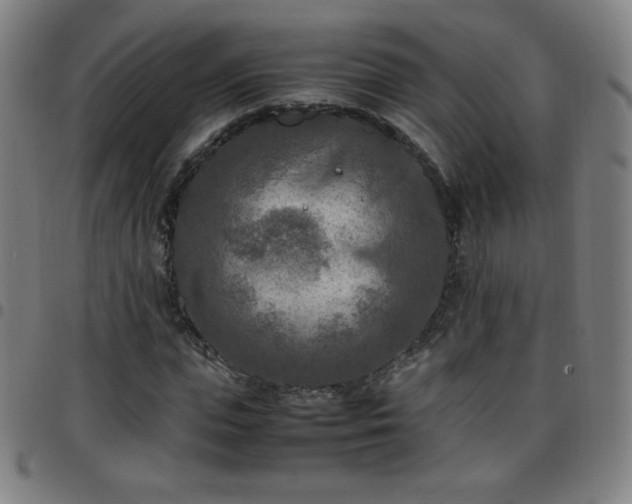 X0000097660823200803071530