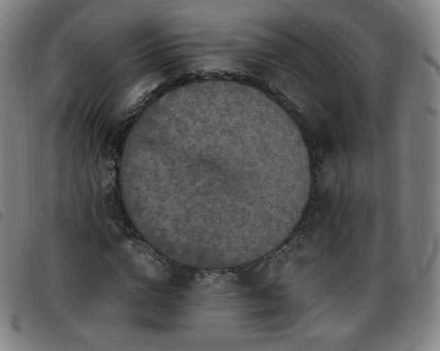 X0000097660824200803071530