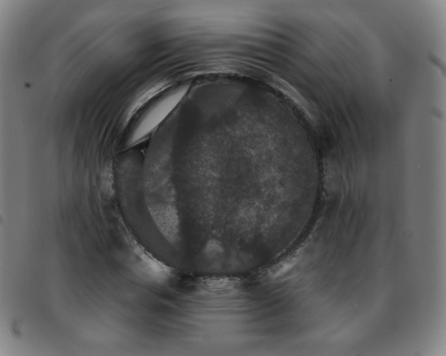 X0000097660826200803071530