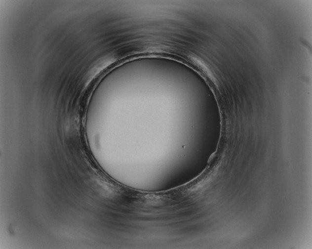 X0000097660827200803071530