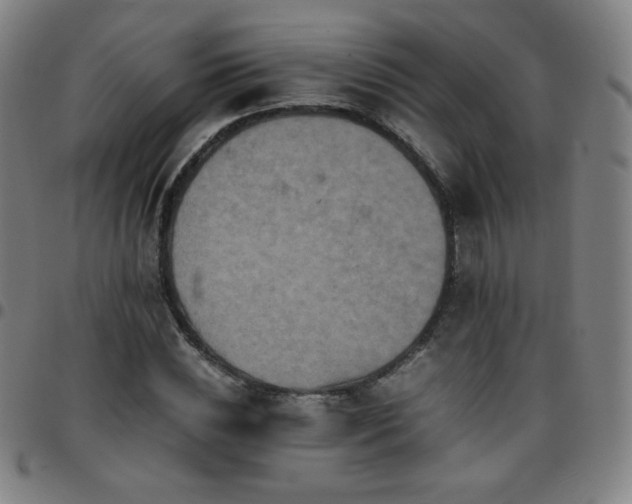X0000097660828200803071530