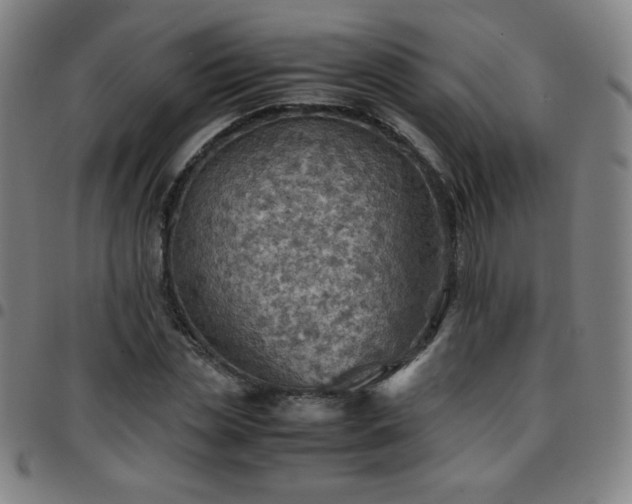 X0000097660829200803071530