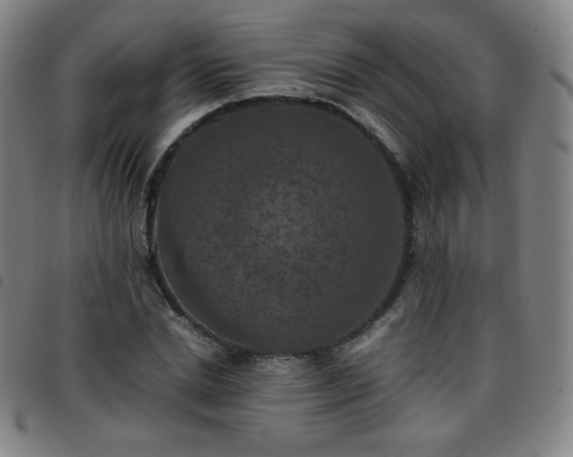 X0000097660830200803071530