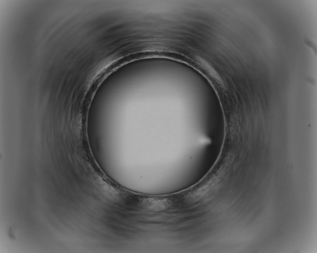 X0000097660831200803071530