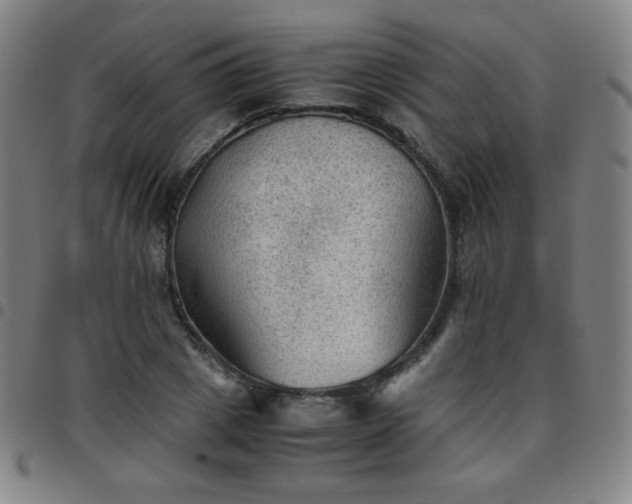 X0000097660833200803071530