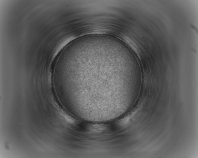 X0000097660835200803071530