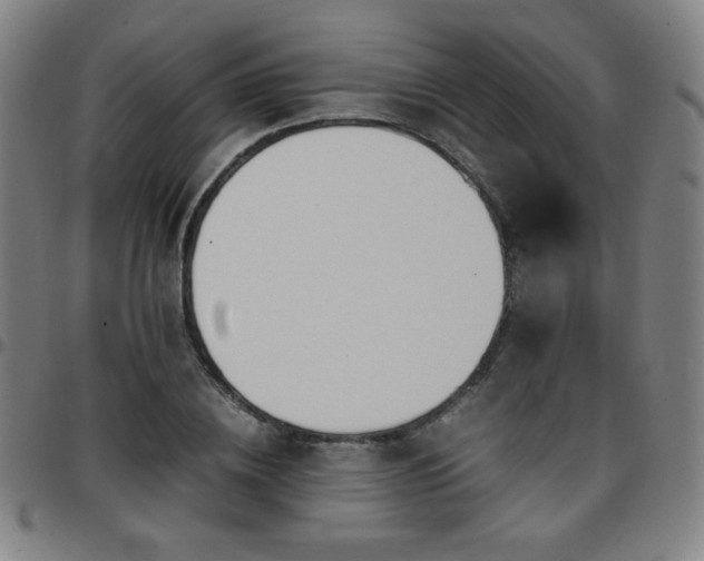 X0000097660836200803071530