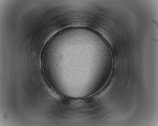 X0000097660837200803071530