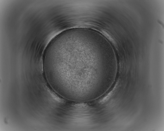 X0000097660838200803071530