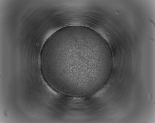 X0000097660839200803071530