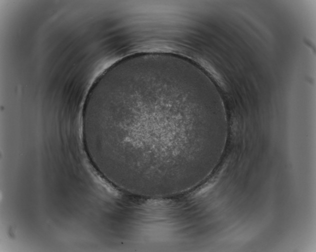 X0000097660840200803071530