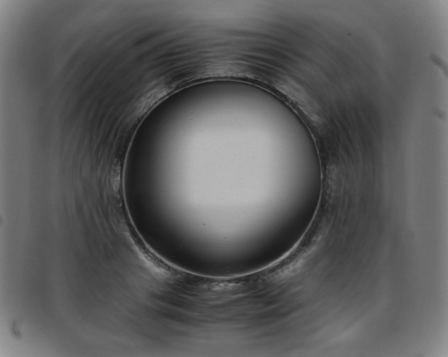 X0000097660841200803071530