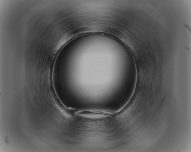 X0000097660842200803071530