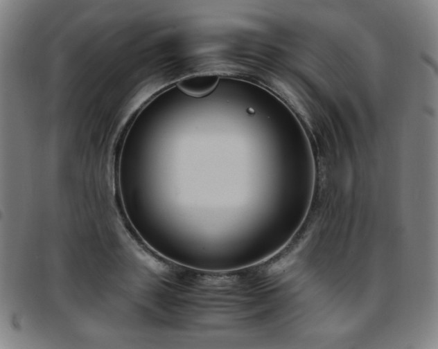 X0000097660843200803071530
