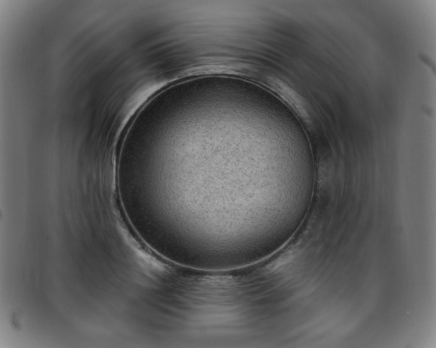 X0000097660844200803071530