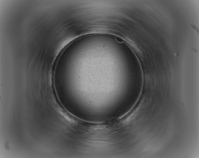 X0000097660846200803071530