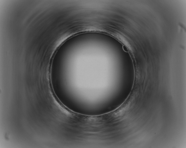 X0000097660847200803071530
