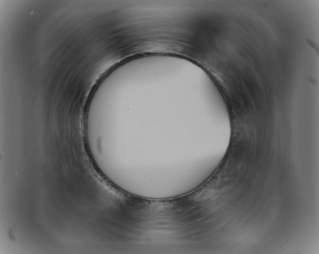 X0000097660848200803071530