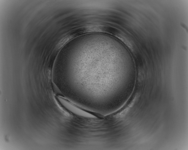 X0000097660849200803071530