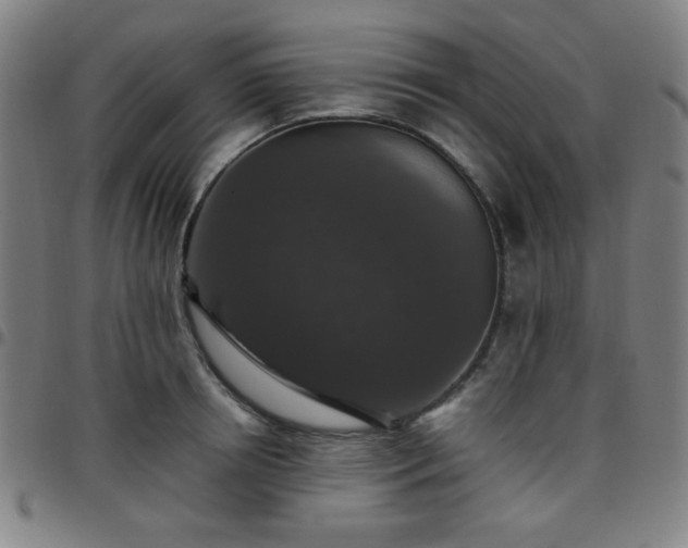X0000097660850200803071530