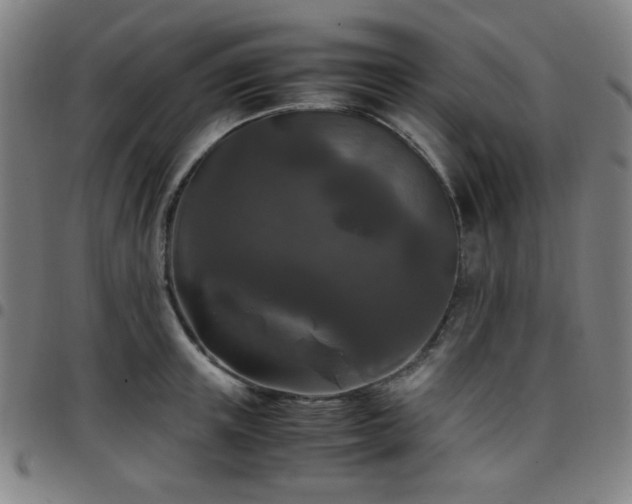 X0000097660851200803071530