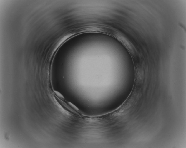 X0000097660852200803071530
