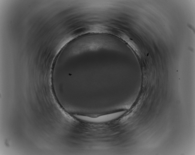 X0000097660853200803071530