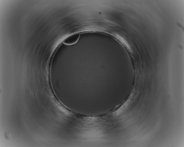 X0000097660854200803071530