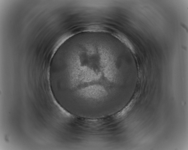 X0000097660855200803071530