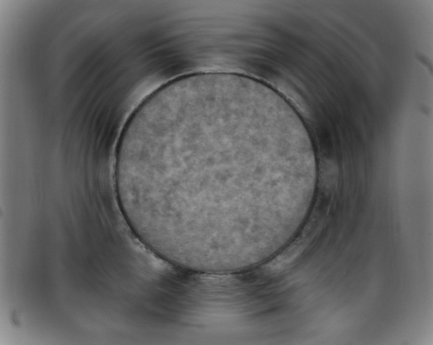 X0000097660856200803071530