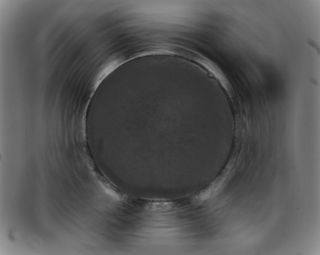 X0000097660858200803071530