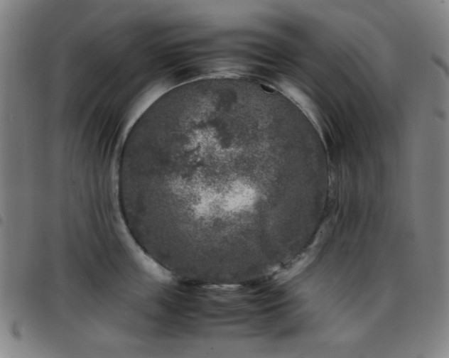 X0000097660859200803071530