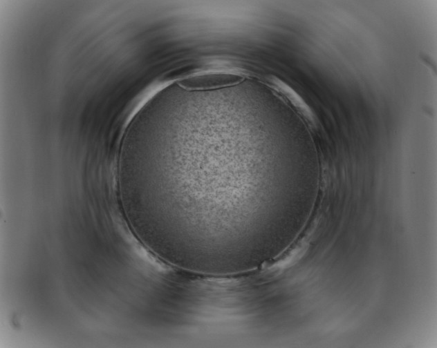 X0000097660860200803071530