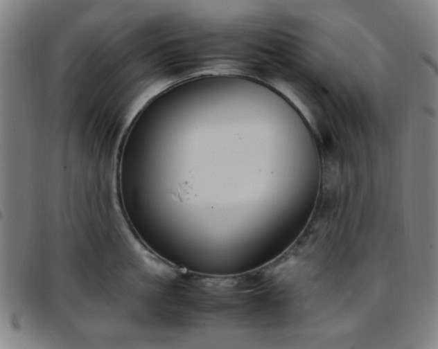 X0000097660861200803071530