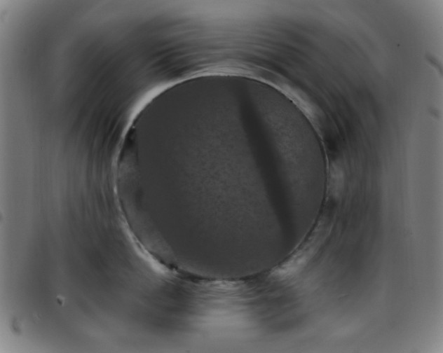 X0000097660862200803071530