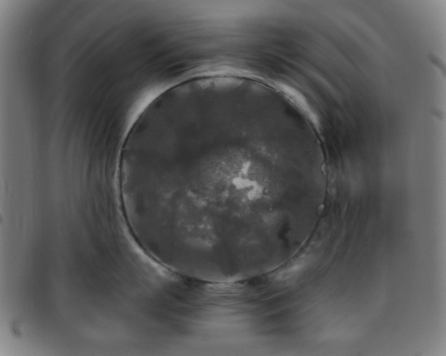 X0000097660863200803071530