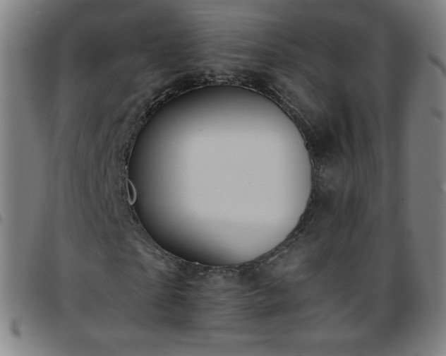 X0000097660865200803071530